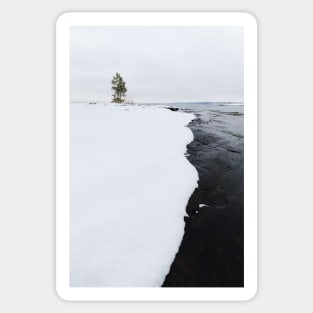 Small tree and snow at the lake Sticker